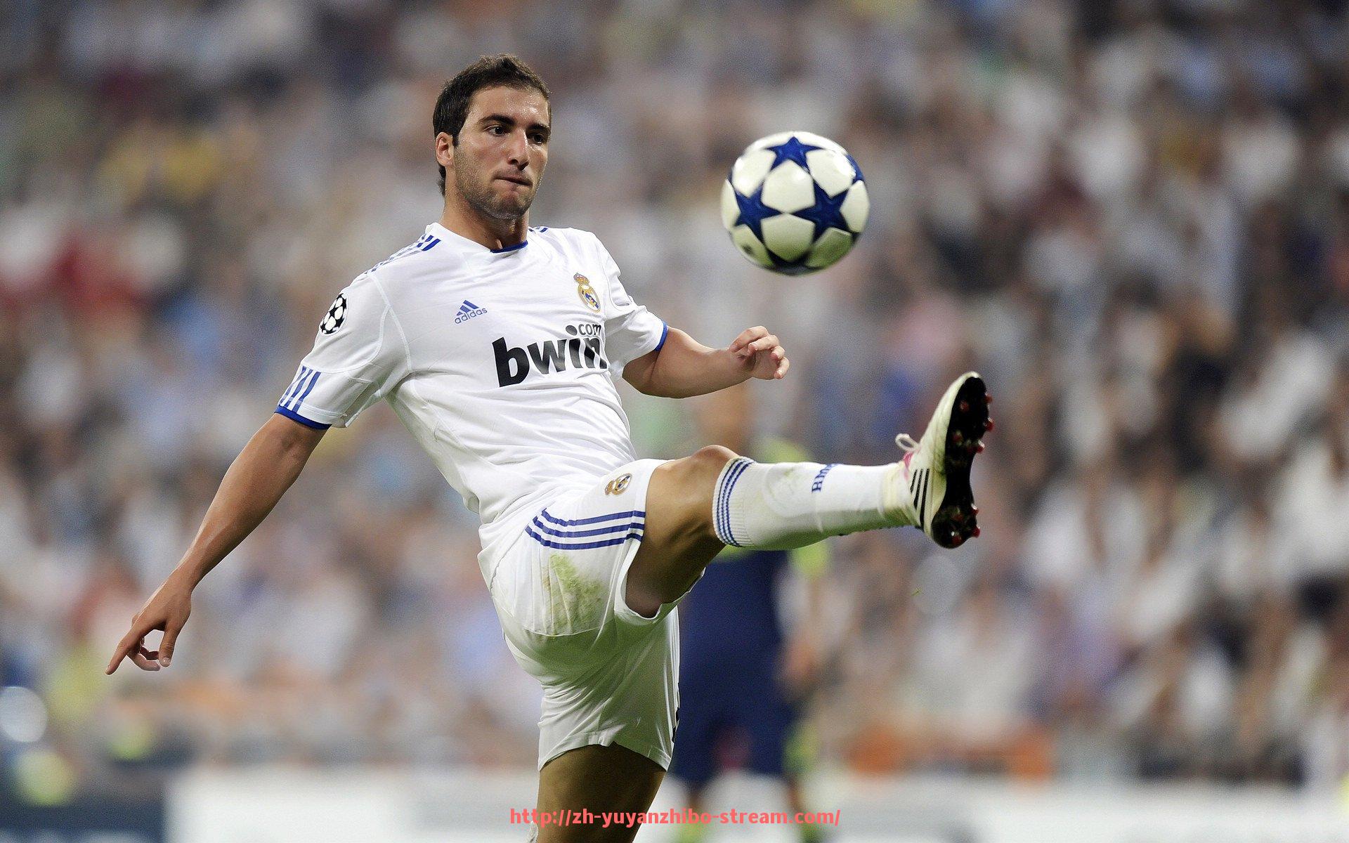 雨燕直播-浦和红钻阵容预测专题：世俱杯参赛球员可能名单与排兵布阵