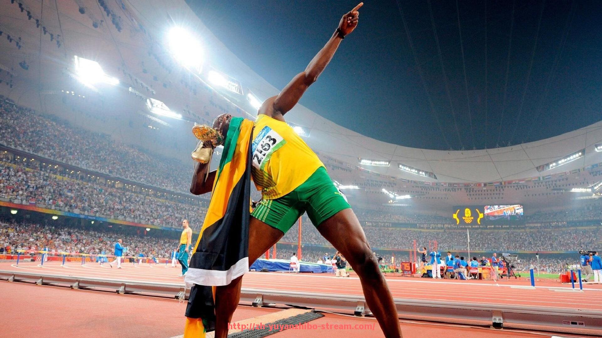 雨燕直播-舒华健身器材北京区域销售网点及产品介绍