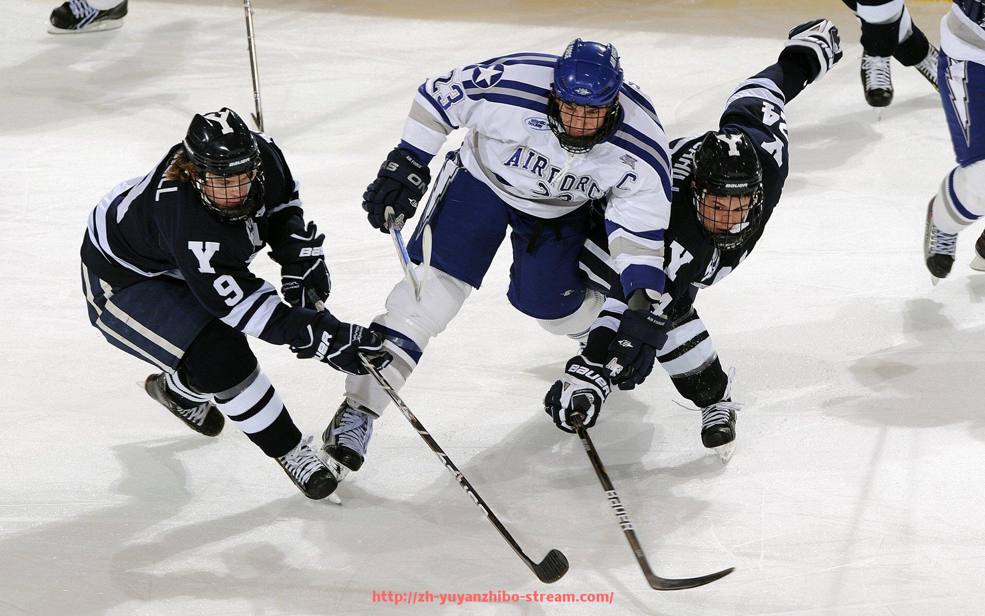 雨燕直播-虎扑社区中的欧冠话题热度分析