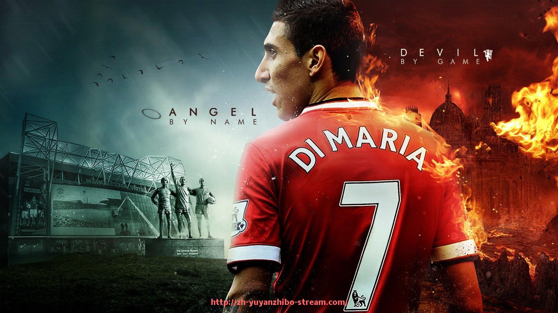 雨燕直播-健身器材在美国的品牌排行榜与市场分析