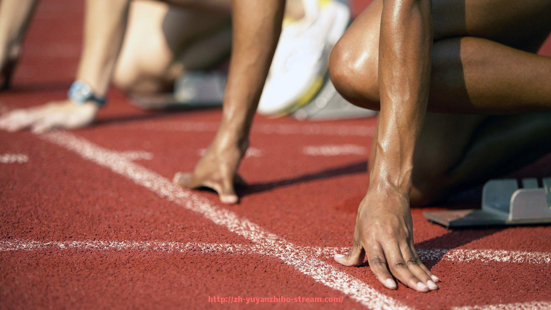 雨燕直播-女性健身器材使用方法：女性专用健身器材操作指南